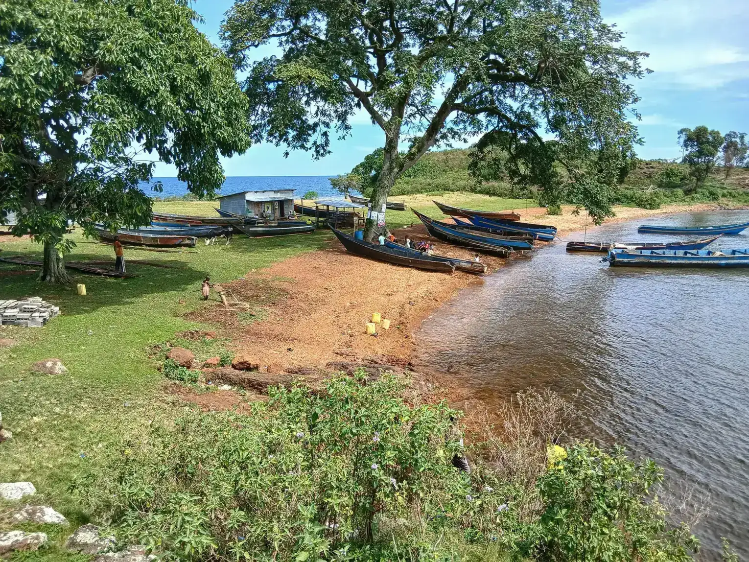 Wooden fishing boats pulled up along a tree-lined shore in the Ssese Islands