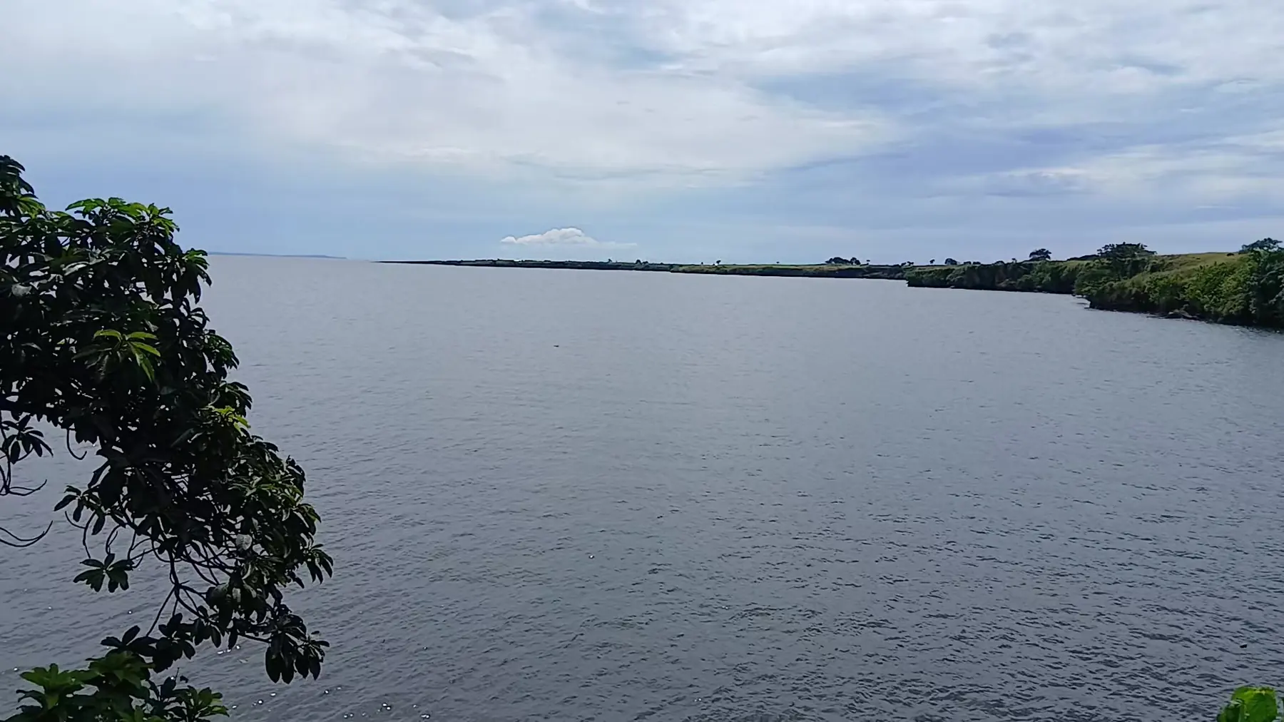 Calm waters of Lake Victoria stretching to the horizon, seen from the wooded shore of Janna Island